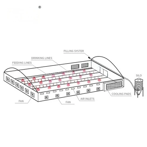 Automatic Poultry Feeding System suppliers