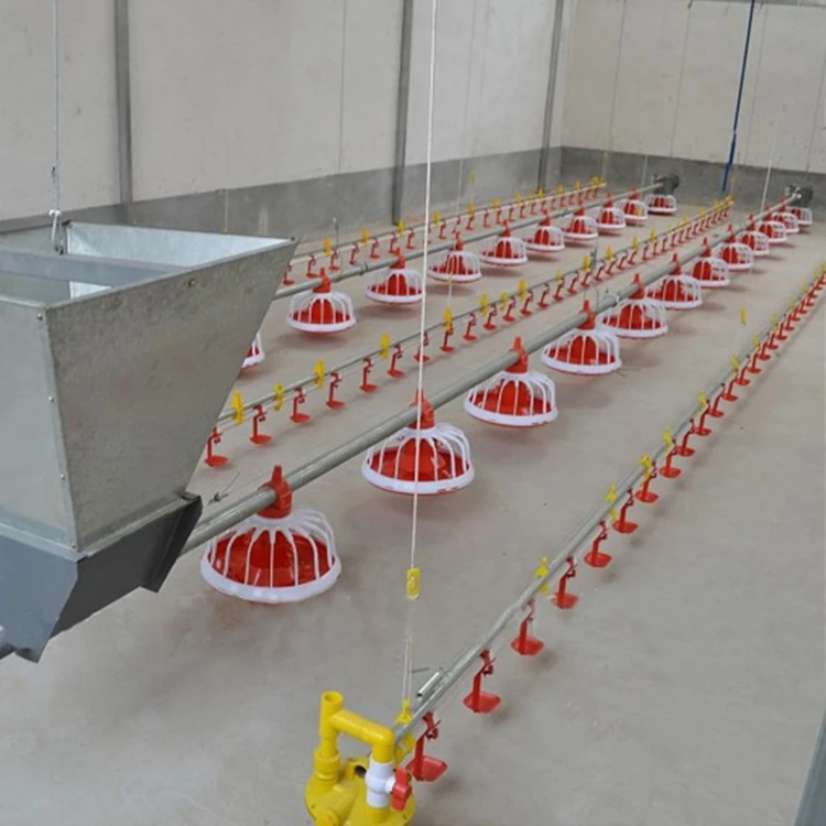Automatic Poultry Feeding System best