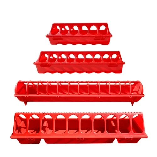 Chicken Feeding Trough