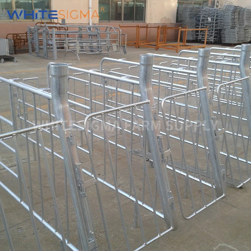 Gestation Stalls factory