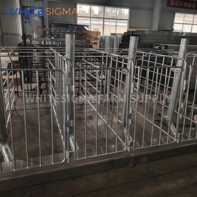 Gestation Stalls best