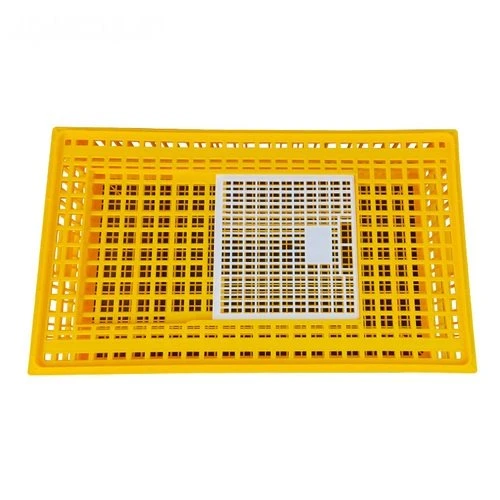 Heavy-Duty Poultry Transport Crate factory