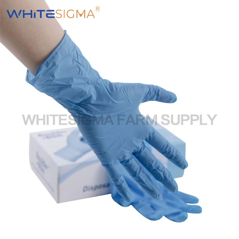 Nitrile Gloves
