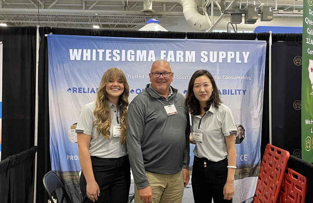 3173f8da1fd0d7a58ab5f2b8dd3fef7001 3173f8da1fd0d7a58ab5f2b8dd3fef7001