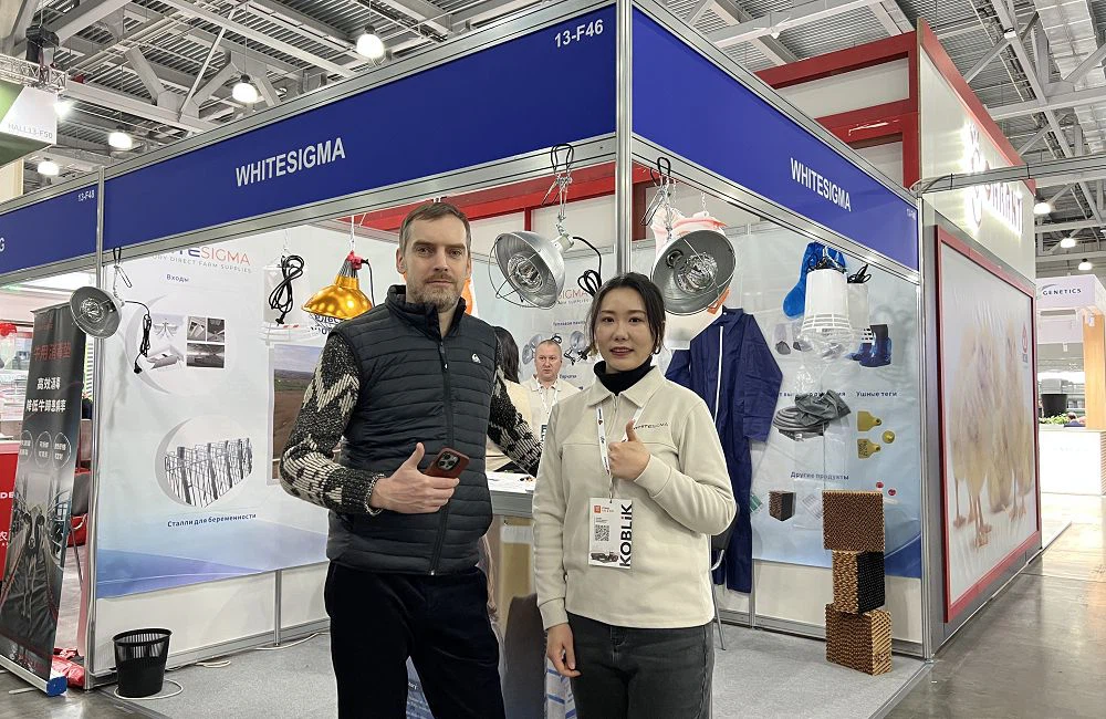 48909d5787c0ae3a02f89f5a32cd43ae001 48909d5787c0ae3a02f89f5a32cd43ae001