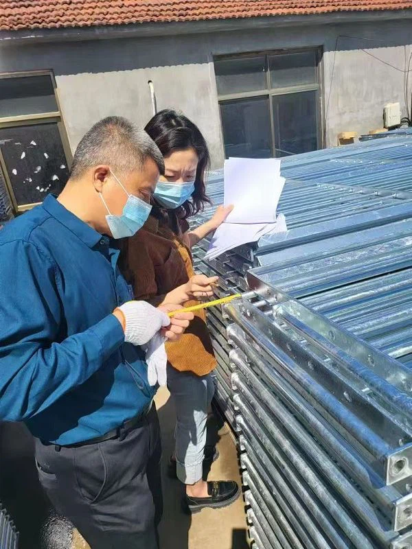 20250614075634002 20250614075634002