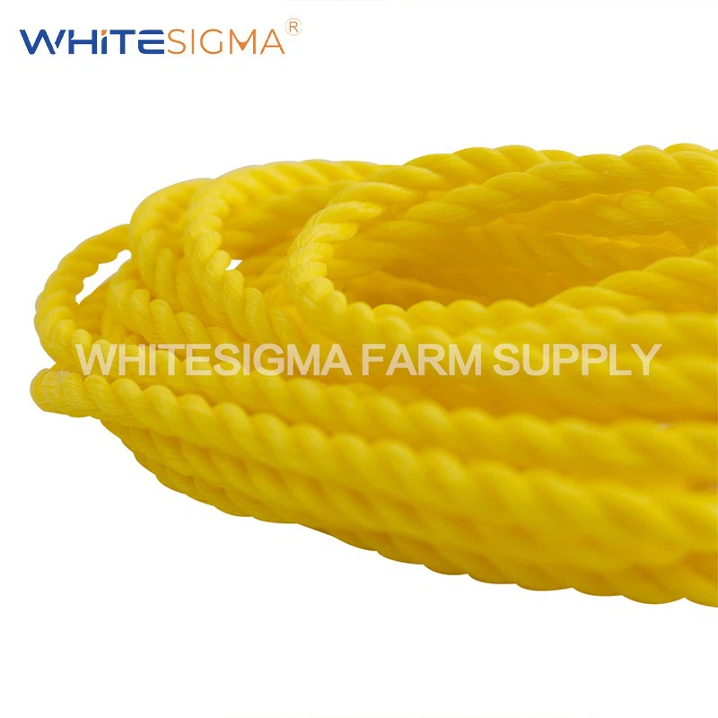 PP Braided Rope