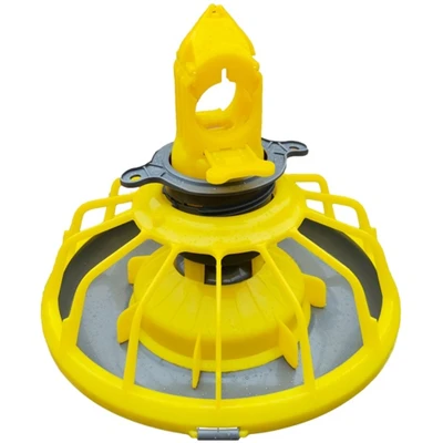 Automatic Poultry Feeding Line