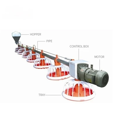 Automatic Poultry Feeding System