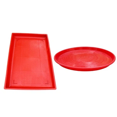 Chick Feeding Tray