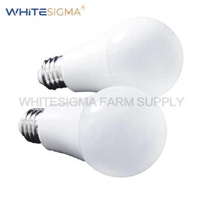 LED Bulb